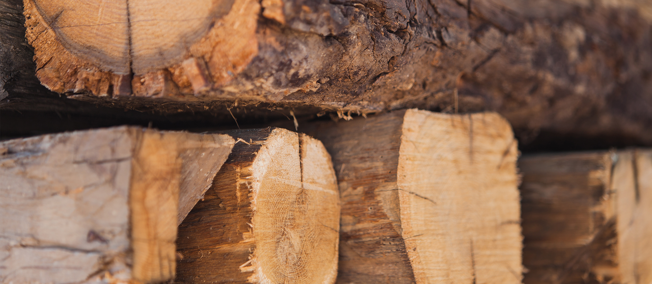 DER ANFANG
Rohholz kommt in die Fabrik